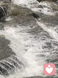 防御机制的适应性是指个体无意识地使用心理策略来调节焦虑、维持自尊和应对压力的能力。当防御机制能够帮助个体在不严重扭曲现实的前提下，有效地处理内部冲突和外部挑战时，它就是适应性的（Adaptive）。

相反，当防御机制变得僵化、过度扭曲现实，或者严重阻碍了人际关系和工作功能时，它就转变为病理性的（Pathological）。配图