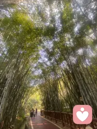 如果把爱情比作一杯咖啡，激情是咖啡因，给人强烈的刺激；亲密是咖啡的香气和温度，让人感到舒适；承诺则是杯子。没有杯子（承诺），咖啡会洒一地；只有杯子没有咖啡（空洞之爱），则索然无味。配图