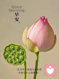 坚定踏出成长路上的每一步，
不断向前，收获满满，华丽蜕变。
用拼搏点亮美好一天，
抓住每个崭新清晨，加油，早安[玫瑰]