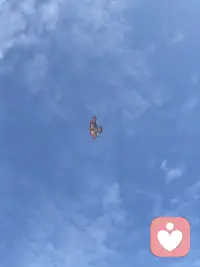 不要提前透支明天的烦恼，尚未发生的担忧，只会消耗此刻的生活。