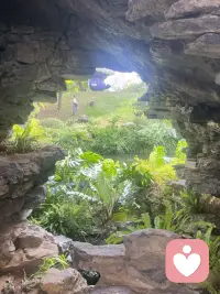 不必期待所有人理解你，不必活在他人的评价里，你的节奏无需向别人证明。