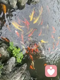 很多压力来源于“必须完美”，完成比完美重要，尽力就可以和自己和解。