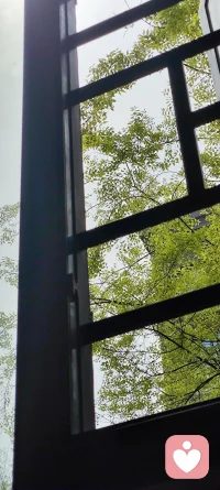 你有多久没有静静感受微风拂过树梢？
久到忘记风也会温柔，穿过枝叶、掠过眉梢，把喧嚣轻轻吹散。配图