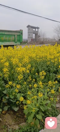 雨后的彩虹配图