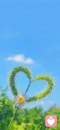 谢谢你出现在我的生命里，治愈我所有的不安。往后余生，风雪是你，平淡是你，目光所及，满心都是你。配图