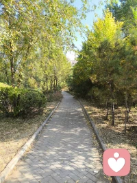 你若安好，父母才有依靠，孩子才有归途，家庭才有底气！愿君安好！晚安配图