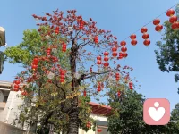 允许一切发生，允许自己慢慢来，早安！配图