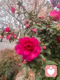 不管昨夜多么黑暗，太阳升起的那一刻，就是元气满满、充满正能量的一天。加油！！！配图