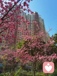 阳光普照，沐浴其中，让黑暗无处藏身！下雨的日子做自己的光！活成自己喜欢的模样！配图