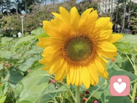 慢慢来，谁不是在崩溃边缘悄悄自愈！况且还有我，随时都在……配图