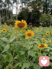 把自己活成一道光！就不畏惧黑暗！