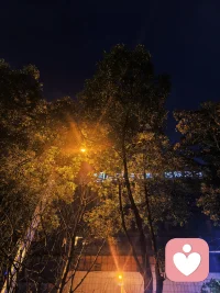 晚安！好好睡觉！天亮了我们都勇敢抬头面对生活！