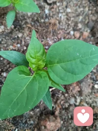 上了一天的班累了吧！先躺平一会儿，其它一切靠边！先给自己充满能量，其它再说……