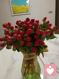 不用急着赶路，也不用逼自己坚强。在这里，你可以卸下所有防备，慢慢说，我慢慢听。配图