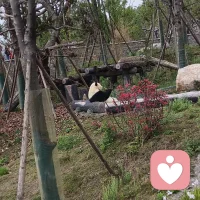 可爱的宝仔配图