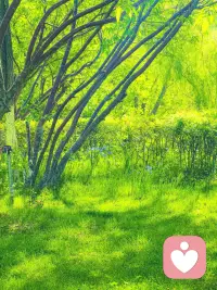 假如你此时此刻，刚好陷入了困境 、饱受折磨，那么我很想告诉你，尽管眼下十分艰难，可日后这段经历说不定就会开花结果。你要相信无论受过多少伤，身处怎样的灰暗，当下所经历的一切，都会变成照亮你前方道路的灯光。
