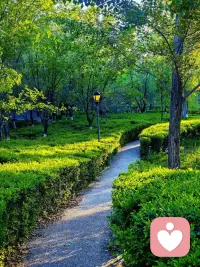 假如你此时此刻，刚好陷入了困境 、饱受折磨，那么我很想告诉你，尽管眼下十分艰难，可日后这段经历说不定就会开花结果。你要相信无论受过多少伤，身处怎样的灰暗，当下所经历的一切，都会变成照亮你前方道路的灯光。