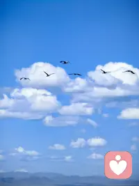 声音啊，虽然是用来听的，一旦注入了情感，就变得有份量。