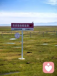 声音啊，虽然是用来听的，一旦注入了情感，就变得有份量。