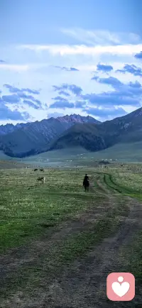 每个人都有一个死角，
自己走不出来，别人也闯不进去。
我把最深沉的秘密放在那里。
你不懂我，我不怪你。