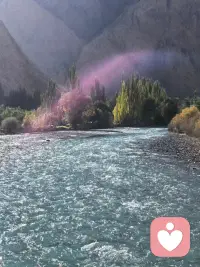 受过伤的生命，重新信任需要时间。治愈不是抹去伤痕，而是不再被过去困住。配图