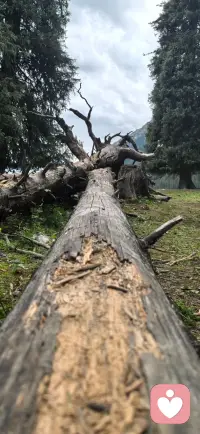 受过伤的生命，重新信任需要时间。治愈不是抹去伤痕，而是不再被过去困住。配图