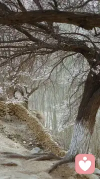心累的时候，想找个人说说话，但是打开手机，却不知道应该找谁。不熟的人，不好意思聊天，熟悉的人，又不忍他们担心。于是只好放下手机，独自失眠。配图