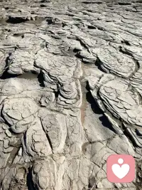 杨绛说：人总要咽下一些委屈，然后一字不提地擦干眼泪继续往前走，成长的代价就是失去原来的样子。配图