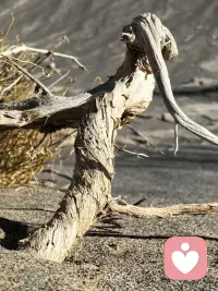 杨绛说：人总要咽下一些委屈，然后一字不提地擦干眼泪继续往前走，成长的代价就是失去原来的样子。配图