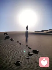 孤独本来就是人生的一种常态。你在意它，它叫孤独。你不在意它，它叫自由。配图