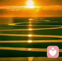 你知道对一个家庭最大的伤害是什么吗？是不会好好说话，夫妻是这个世界上最亲近的关系，可为什么很多夫妻越走越远，感情也越来越淡呢？不是因为钱，也不是因为偶尔的意见不合，就是因为不会好好说话，心里明明有对方，可是却用那最伤人的话来表达，那话说出来，就像碎玻璃渣子似的往人身上扎，看着不起眼，可是扎到肉里才知道有多疼，再好的感情，也受不了天天这样扎啊。