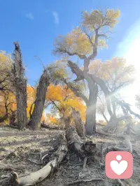 你知道对一个家庭最大的伤害是什么吗？是不会好好说话，夫妻是这个世界上最亲近的关系，可为什么很多夫妻越走越远，感情也越来越淡呢？不是因为钱，也不是因为偶尔的意见不合，就是因为不会好好说话，心里明明有对方，可是却用那最伤人的话来表达，那话说出来，就像碎玻璃渣子似的往人身上扎，看着不起眼，可是扎到肉里才知道有多疼，再好的感情，也受不了天天这样扎啊。