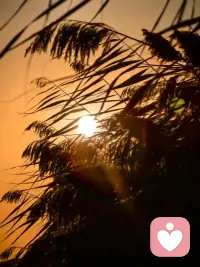 人无法同时拥有青春和对青春的感受，有些东西要靠消失才能证明他的珍贵。
