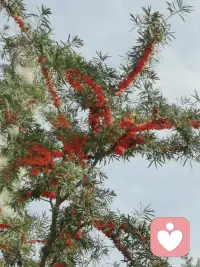 爱与不爱真的很明显，一个不爱你的人，他希望你懂事，希望你听话，希望你善解人意，希望你能体谅他的所有，而一个爱你的人，他只希望你开心就好。