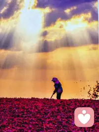 生活已经够累了，如果爱不能给你力量，又不能给你提供情绪价值，也没有陪伴，更没有物质 ，还要消耗你的情绪 ，那爱的意义是什么 。