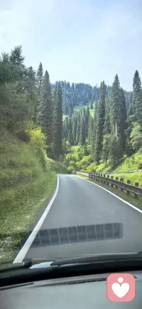 真正的教育，不是把孩子修剪成我们期待的样子，而是看见他本来的样子。看见他的脆弱，接纳他的情绪，尊重他的独特，让他在爱里，长成自己的模样。当我们真正看见孩子，亲子之间的对抗会消融，焦虑会散去，爱会自然地流动。