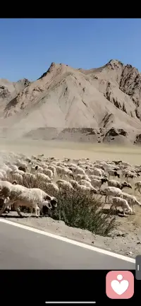 不用一味的怨叹自己没有朋友。有些人，是你运气好，才没跟他们成为朋友。