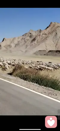不用一味的怨叹自己没有朋友。有些人，是你运气好，才没跟他们成为朋友。