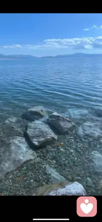 人和人是不一样的，有的人能给你充电，和他聊两 句，你就满血复活了，又可以跟世界掰手腕了，而有的人只会耗 电，你跟他说一句话，感觉要少活好几天，所以!一定要远离消 耗你的人配图