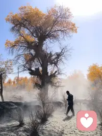 不要活得太明白了，做一个快乐的中年少女，中年是年龄， 少女是心态。希望你在烟熏火燎的生活中，依旧纯真浪漫 。当 我们看淡所有的人和事之后就会明白一个道理，惜我者我惜之， 嫌我者我弃之，爱我者，我必爱之。配图