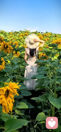 你怎么还不明白呢，这个世界上有的人就是单身也幸福，恋爱也幸福，胖着也幸福，瘦着也幸福，
因为她就是会让自己幸福的人。其实你不理解也是正常，因为你心里觉得不幸福，给你什么都不幸福。配图