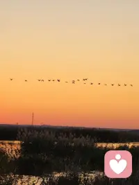 你爱上一个无法在一起的人，你才能真正体会到什么叫做无能为力。时而欢喜，时而心痛，明知没有结果，心却难以自控，明知应当放手，却又难以割舍。有一种爱，嘴上说不再联系，可心底却无时无刻不在思念。而在想念的时候，我们又强忍着不联系。原来，不管多难都可以重逢，那是电影；一不小心就再也不见，才是生活！配图