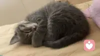 女人，你越懂她，她就越温柔；你越关心，她越爱你；你越理解她的不容易，她就会拼了命地对你好，从无例外。配图