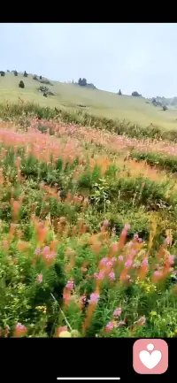 生活让我们忘记了惆怅，有工作的地方没有家，有家的地方没有工作，纵然千里繁华，灯红酒绿，但内心深处的灵魂不在这，，社会发展的好快，我颠簸的脚步跟不上。有时候真想一直待在火车上，突然发现只有在火车上的时光才是自己的，一旦下了火车，我就是父亲，是儿子，是工人，是钱，是柴米油盐，是生活，唯独…不是自己。