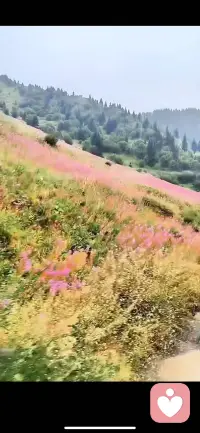 生活让我们忘记了惆怅，有工作的地方没有家，有家的地方没有工作，纵然千里繁华，灯红酒绿，但内心深处的灵魂不在这，，社会发展的好快，我颠簸的脚步跟不上。有时候真想一直待在火车上，突然发现只有在火车上的时光才是自己的，一旦下了火车，我就是父亲，是儿子，是工人，是钱，是柴米油盐，是生活，唯独…不是自己。
