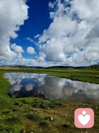 世上只有妈妈的饭不要钱，剩下的每一口饭都得自己挣。什么意思呢，下辈子再也见不到了，她是唯一和你共享过心跳的人，全世界只有妈妈无条件盼着你好，所以难听的话别说，伤她心的事儿别做，别等哪天你推开门，再也找不见她的身影，才懂当初的任性是在透支这辈子的缘份。