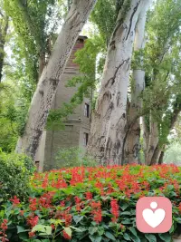中年的世界还有爱情吗？有一个回答，引起了无数的人共鸣：成年的心动，是欲望和克制的较量。是从喜欢里得到力量和欢乐，而不是花光快乐和力量去喜欢。感动不再是花言巧语，而是实实在在的付出，中年人的爱情很隐秘，它是一种理解至上的懂得和尊重，是两个灵魂在寂寞荒野中的搀扶！你会发现你需要的不仅仅是一个异性，而是一个可以沟通的灵魂。有着相同的爱憎，眼界和格局，还有其他人不能给予的安宁。