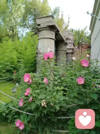 中年的世界还有爱情吗？有一个回答，引起了无数的人共鸣：成年的心动，是欲望和克制的较量。是从喜欢里得到力量和欢乐，而不是花光快乐和力量去喜欢。感动不再是花言巧语，而是实实在在的付出，中年人的爱情很隐秘，它是一种理解至上的懂得和尊重，是两个灵魂在寂寞荒野中的搀扶！你会发现你需要的不仅仅是一个异性，而是一个可以沟通的灵魂。有着相同的爱憎，眼界和格局，还有其他人不能给予的安宁。