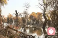 妻子是给你一个家的人，是陪你同甘共苦的人，是为你闯过鬼门关的人，是没有血缘关系却爱你最深的人，是在家里为你准备热菜的人。夫妻不是一辈子不吵架，而是吵了一辈子还想一辈子。贫寒时彼此陪伴，富裕时彼此珍惜。