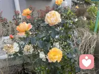 老师教过，不会的题先放着，时间不够了就适当放弃，要考的是整张试卷，而不是一道题......配图